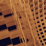 complex adaptive system network