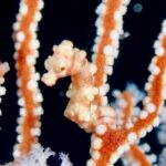 Denise Frazier film set