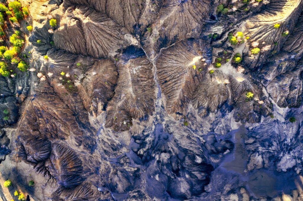 European biodiversity identification