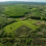 European biodiversity identification