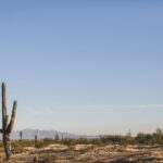 Phoenix roadside assistance truck