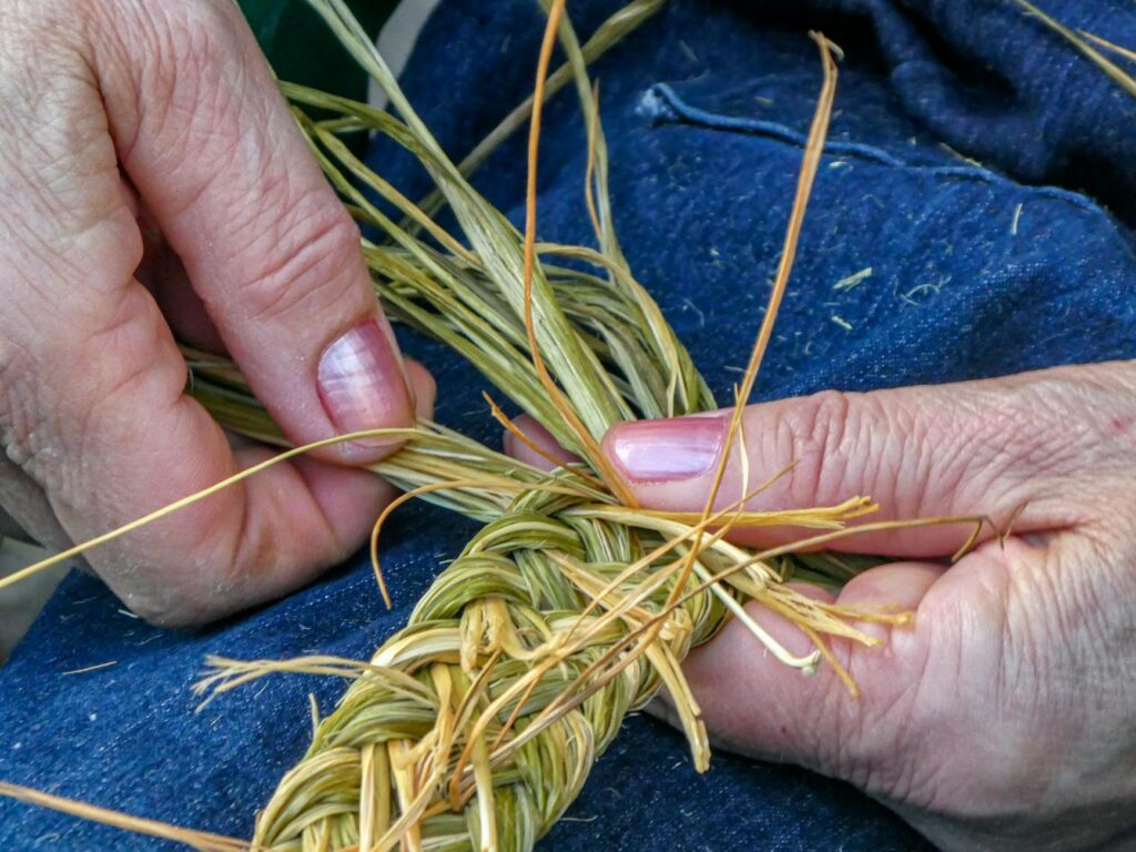 piçada technique illustration