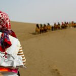 saharos travel infographic