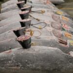 tuna species comparison