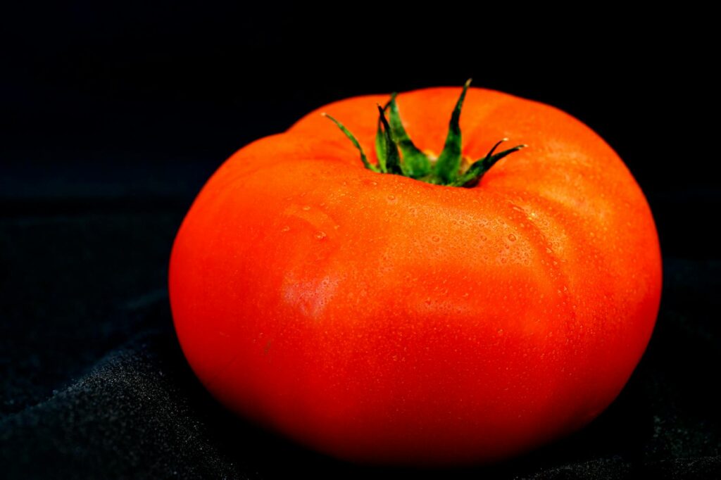 vibrant tomato dish