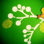 whimsical twitter aesthetic